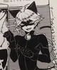 Chatnoir