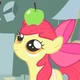 Apple Bloom