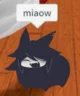 Miss Circle