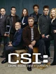 01 Csi Team