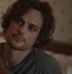Matthew gray gubler