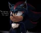 Shadow the Hedgehog