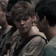 Newt