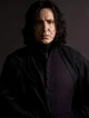 Severus Snapee