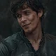 Bellamy Blake 