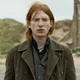 William Weasley