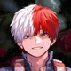 Shoto Todoroki
