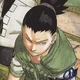 Shikamaru Nara