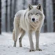 Snow Wolf
