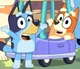 Bluey and Bingo