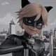 Cat Noir