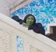 elphaba thropp
