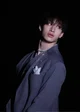 Bang Chan