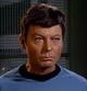 Mirror Leonard McCoy