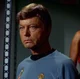 Mirror Leonard McCoy