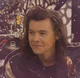 harry styles - 2015
