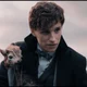 Newton Scamander 