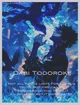 Dabi - Touya Todorok