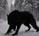 Alpha Wolf