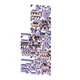 Lets go MissingNo