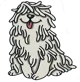 Puli_kutya