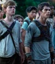 Maze Runner 
