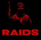 RAIDS - Gmod