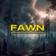 FAWN - A War Story