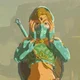 Link Gerudo 