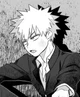 Katsuki Bakugou 