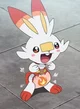 A diapered Scorbunny