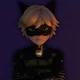 Cat Noir