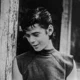 PONYBOY CURTIS 
