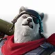 Polar Patroller
