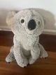 Kola the koala