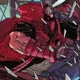 Jason Todd