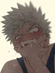 Katsuki Bakugou 