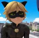 Chat noir