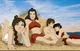 Harem de plage