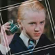 Draco L Malfoy