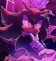 Shadow T Hedgehog