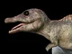 Baby Spinosaurus