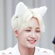 cat Jeonghan