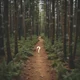 Story idea - 5