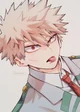 Katsuki Bakugo 