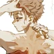 Hawks 