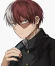 Shoto Todoroki
