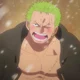 OP-Zoro Roronoa
