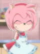 Amy Rose 