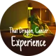 TDC-Experience